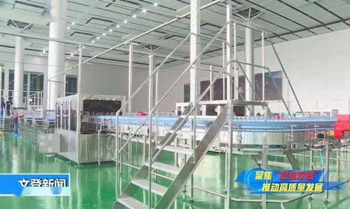 管家式服務(wù)讓健康生態(tài)飲品項目落地生根——邢臺正餐服務(wù)新典范