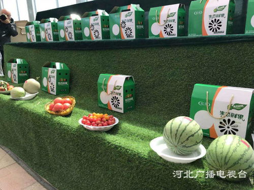 探訪邢臺臨城的生態(tài)發(fā)展之路與正餐服務(wù)融合