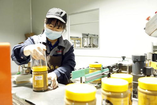 家門(mén)口的增收密碼 河北邢臺(tái)“微工廠”點(diǎn)燃正餐服務(wù)就業(yè)新引擎