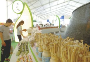 規(guī)模大、檔次高、印象深 打造邢臺(tái)農(nóng)產(chǎn)品新形象的“正餐服務(wù)”之道