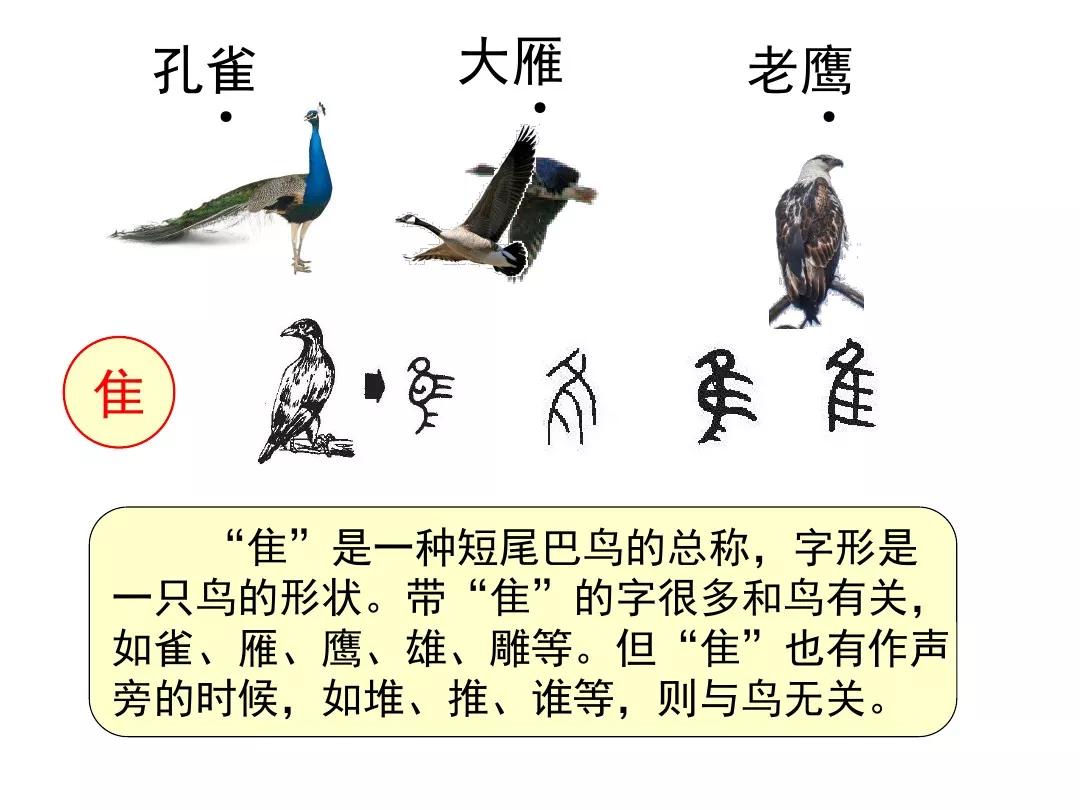 部編版二年級(jí)語(yǔ)文上冊(cè)識(shí)字3《拍手歌》圖文講解